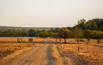 Baluran National Park & Djawatan Forest